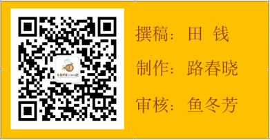 9C3B530C-E583-4003-AE49-89E42A3F4B23